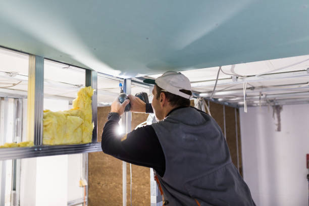 Best Attic Insulation Installation  in Forestville, CA