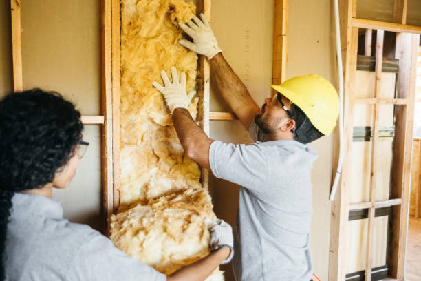 Best Attic Insulation Installation  in Forestville, CA