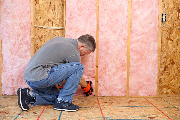 Best Cellulose Insulation  in Forestville, CA